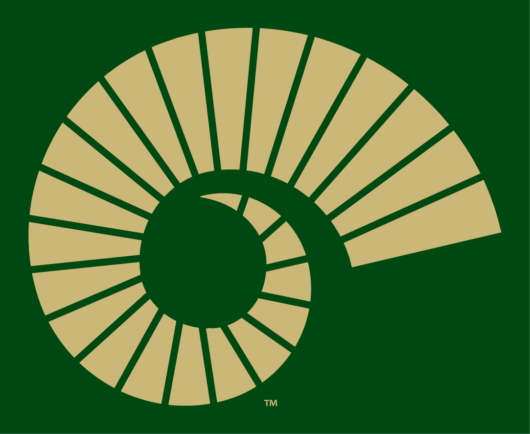 Colorado State Rams 2015-Pres Alternate Logo v4 iron on transfers for fabric